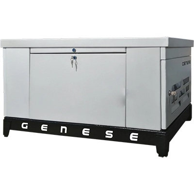 Газовый генератор GENESE GE40 в кожухе