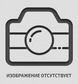 фото мотопомпа дизельная tss-pgs100a